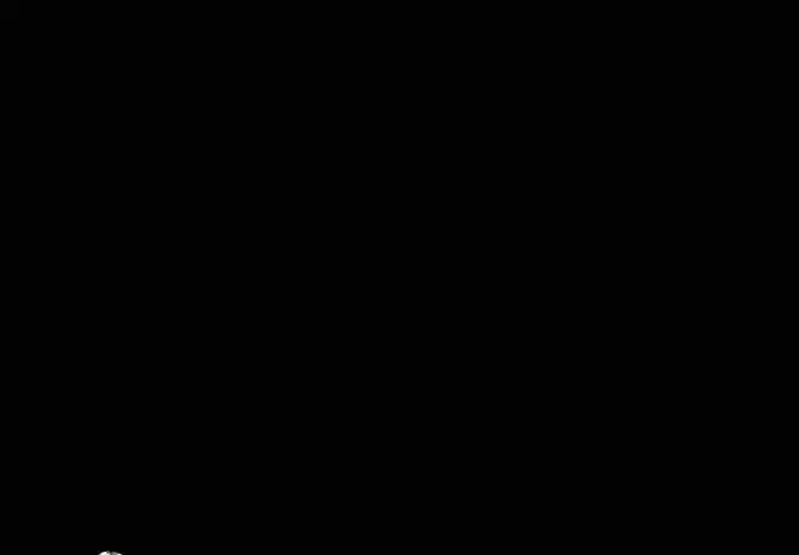 第4章
