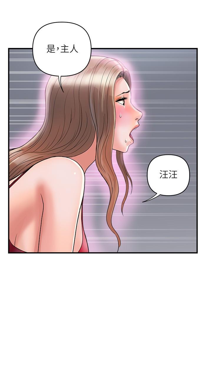 第19话-请主人调教我