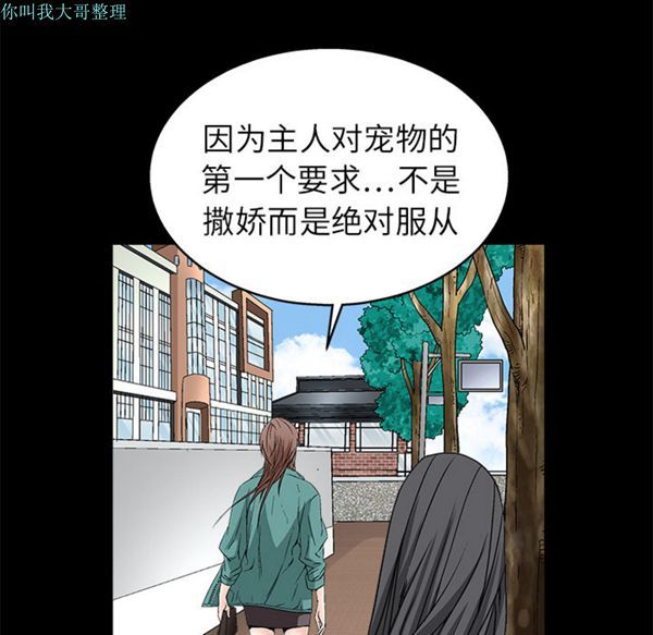第 17 话
