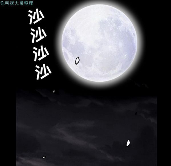 第 31 话