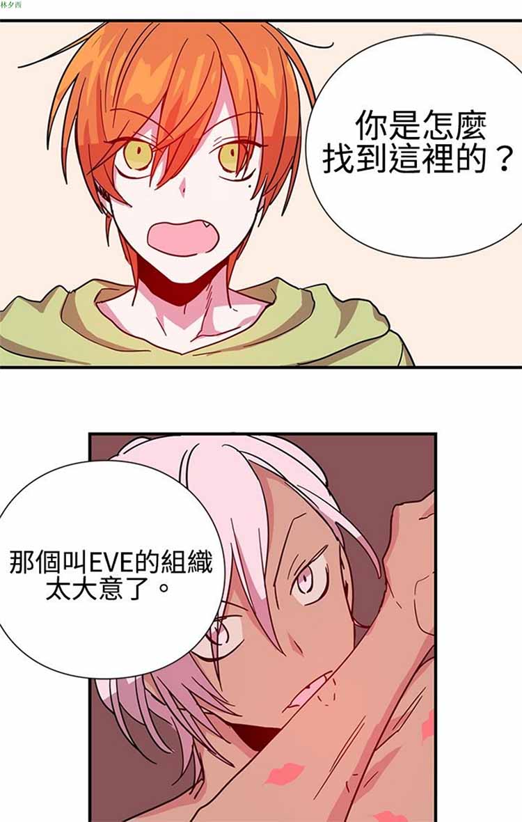 第 11 话