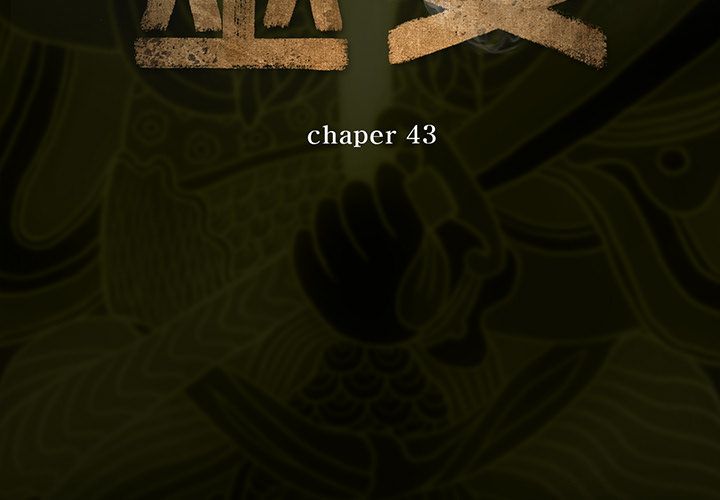 第43章
