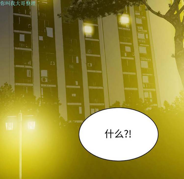 第 29 话