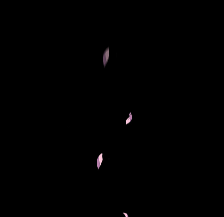 第31章