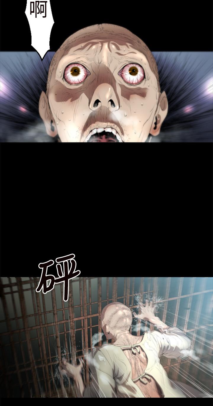 1章1节：影子