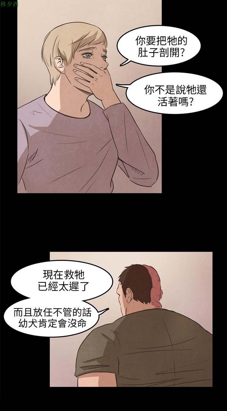 第 15 话