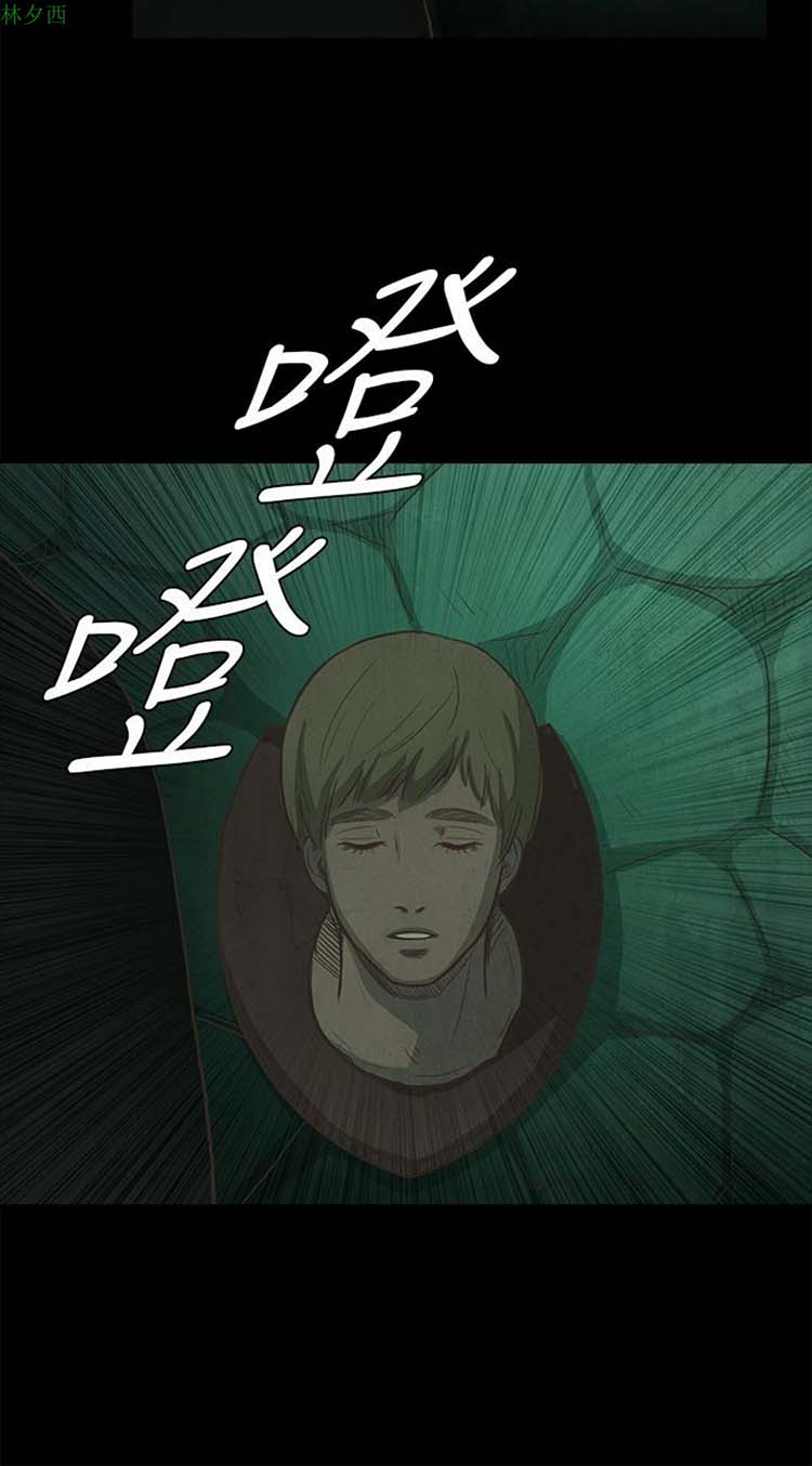 第 29 话