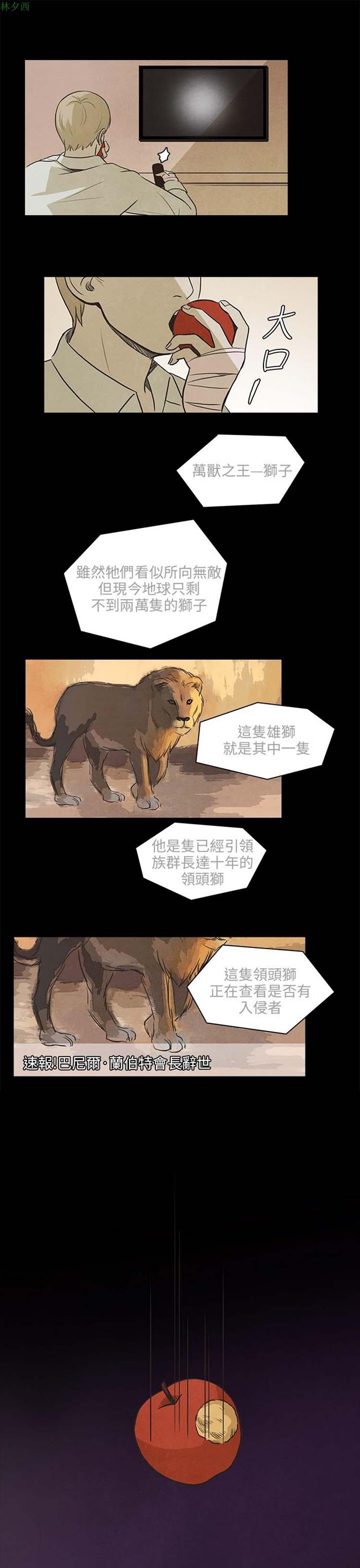 第 29 话