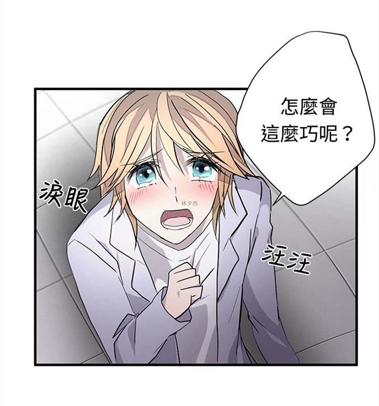 第 17 话