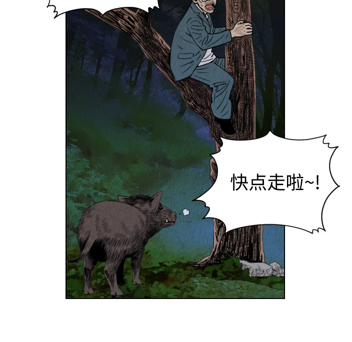 第41章