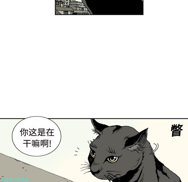 第 1 话
