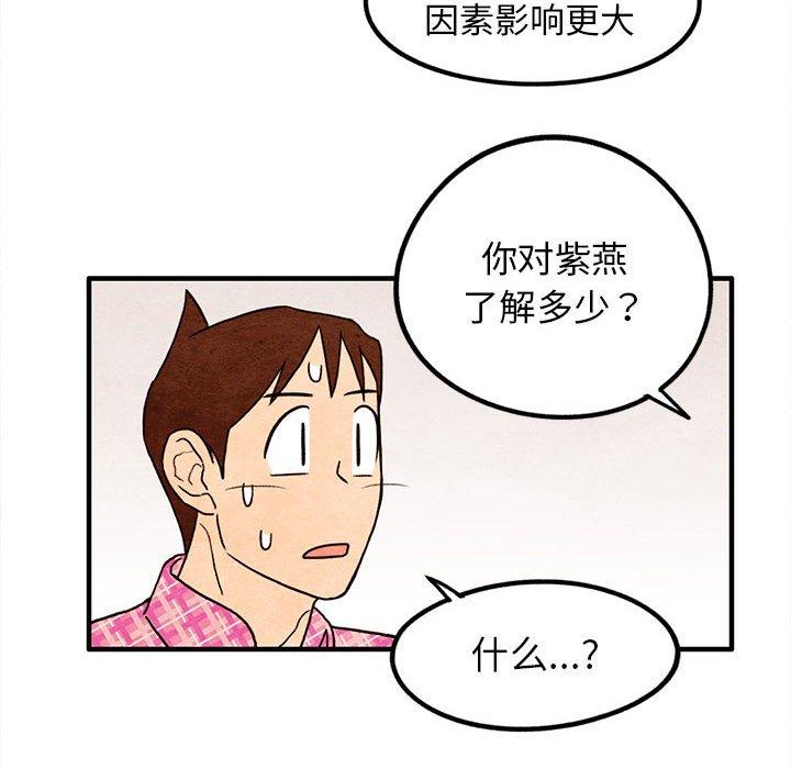 第 17 话