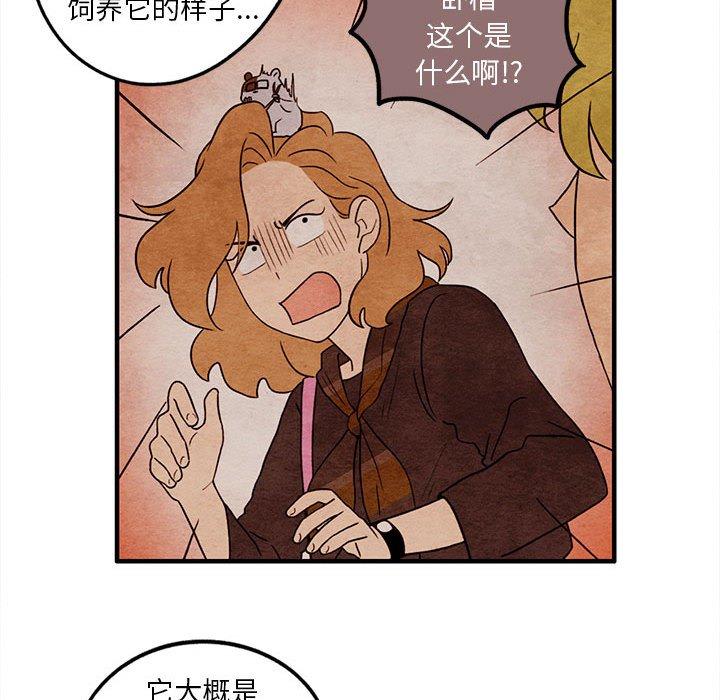 第 19 话