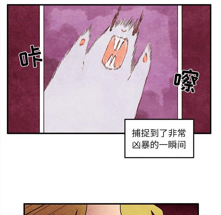 第 19 话