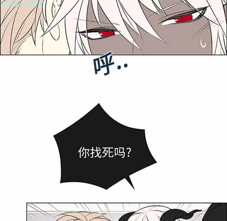 第 4 话