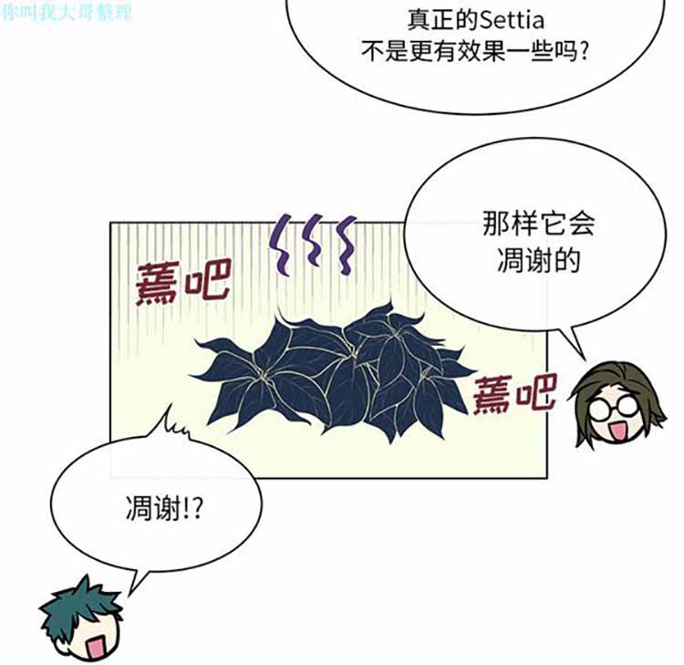 第 17 话