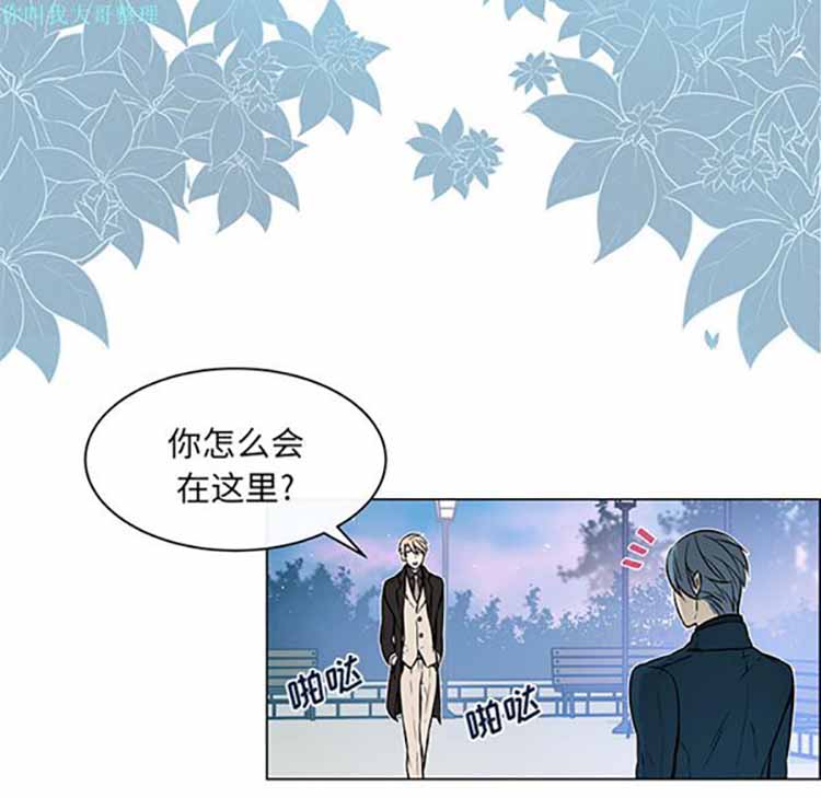 第 19 话