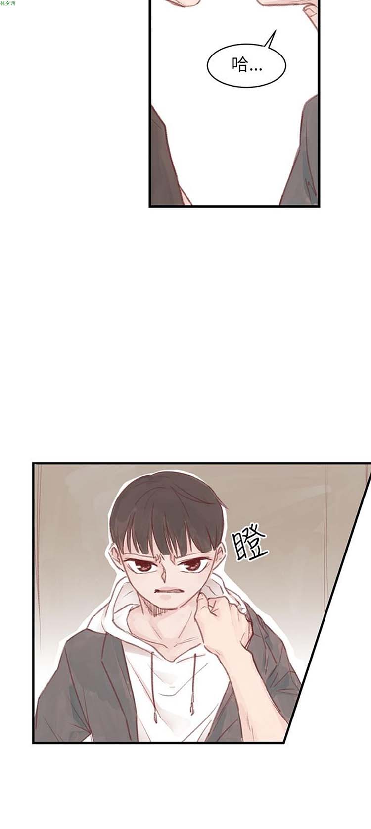第 15 话