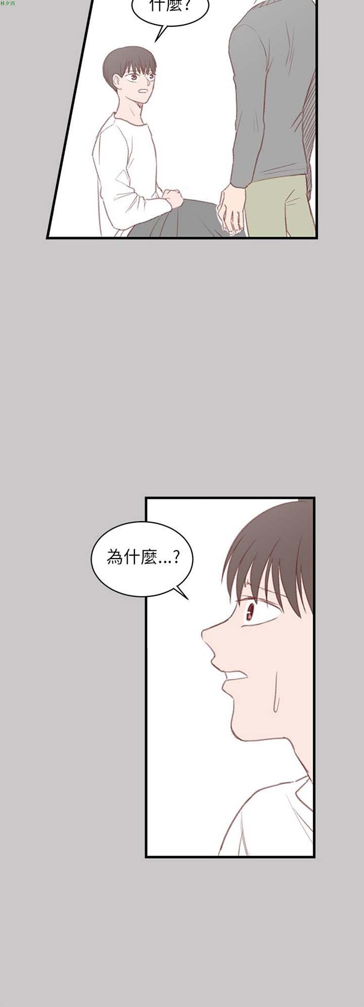 第 28 话